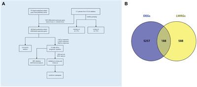 Correlation study of serum lipid levels and lipid metabolism-related genes in cervical cancer